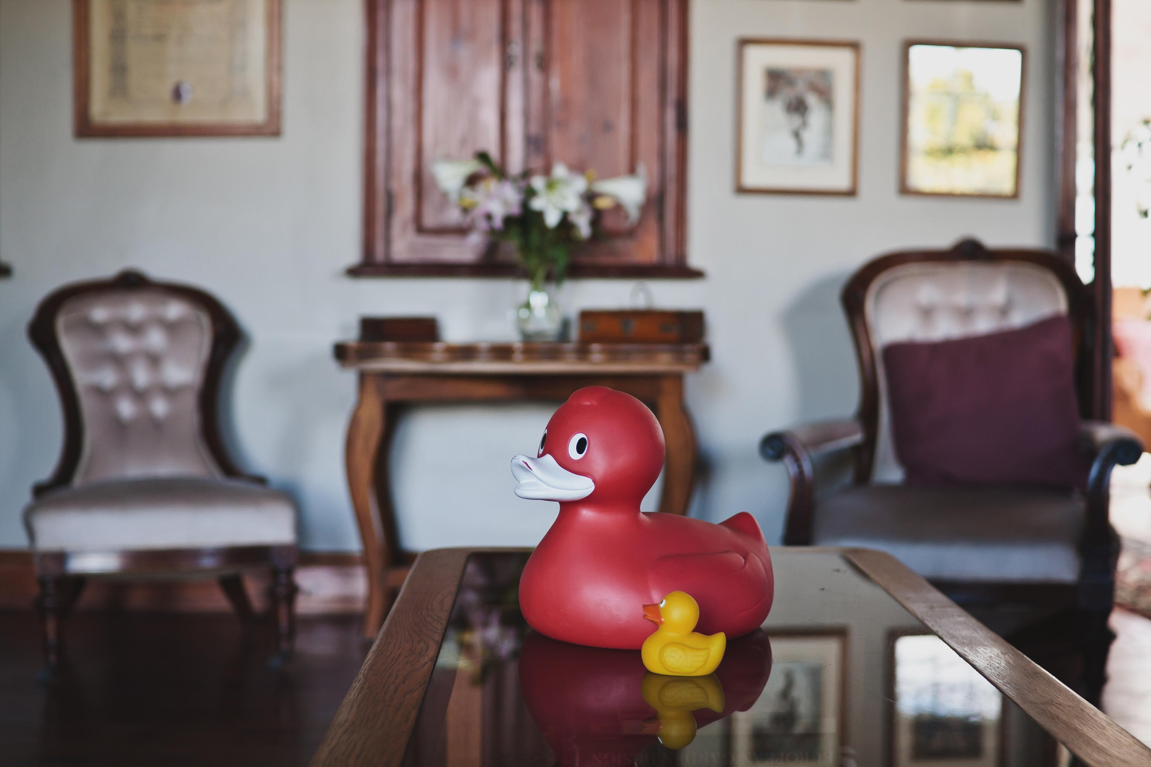 Schoone Oordt Country House Swellendam Extérieur photo